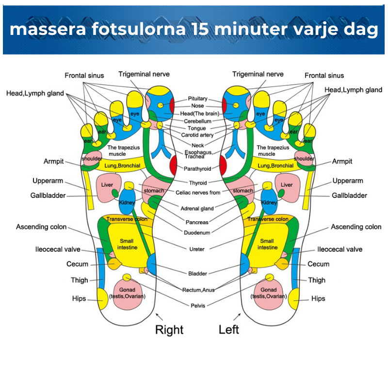 Reflexologisk Fotmassage Mat – Stenbelagd Acupressur Mat för Smärtlindring och Hälsovård - Inizo